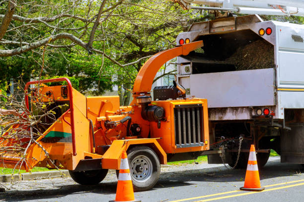 Best Soil Testing and Treatment  in Westfield, NJ