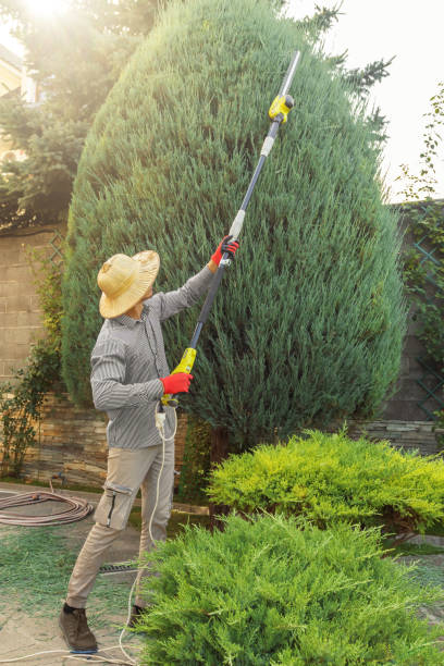 Best Lawn Irrigation Installation and Maintenance  in Westfield, NJ